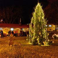 Rozsvícení vánočního stromku Hodoviz