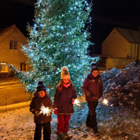Rozsvícení vánočního stromku Hvozd